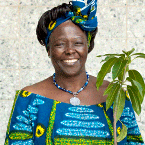 Wangari-Maathai Wangari-Maathai